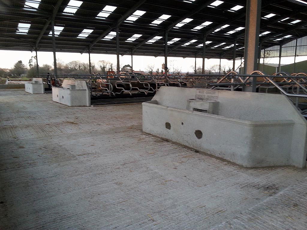 Precast concrete 3-row cubicle bed with end-wall water trough installed in a covered cattle building by WCCP Devon