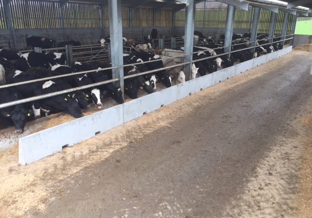 Feed Stop Walling